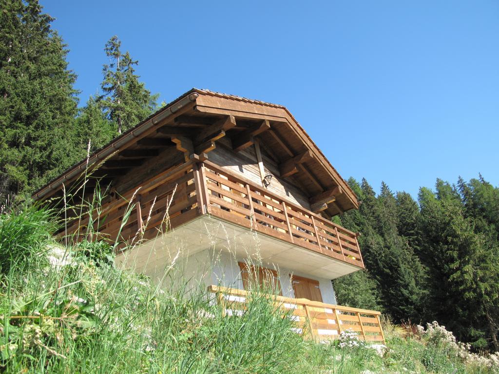 Вилла Chalet Amos Грименц Экстерьер фото